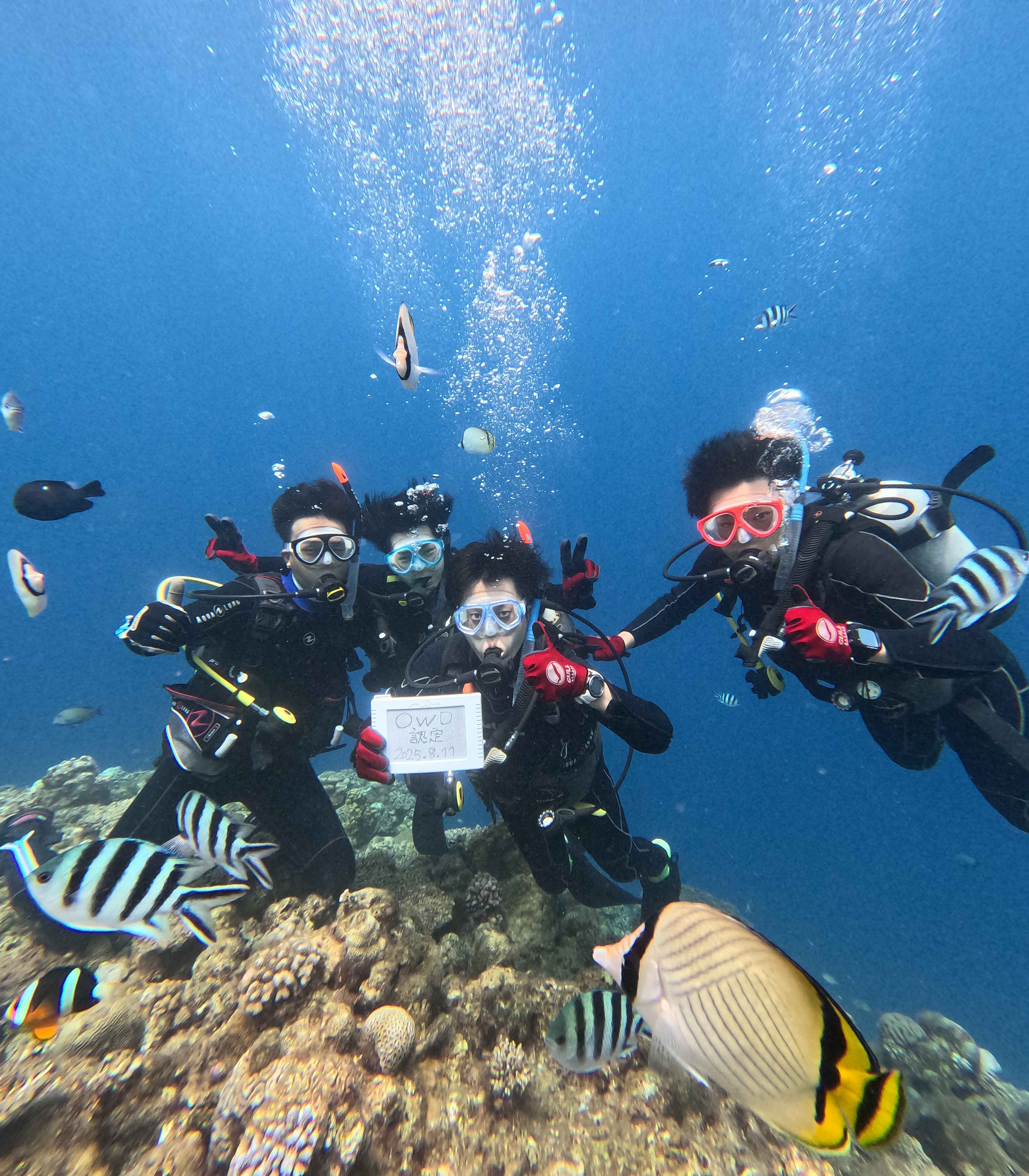 ガイドが一人ひとりの様子をしっかり見守ります 