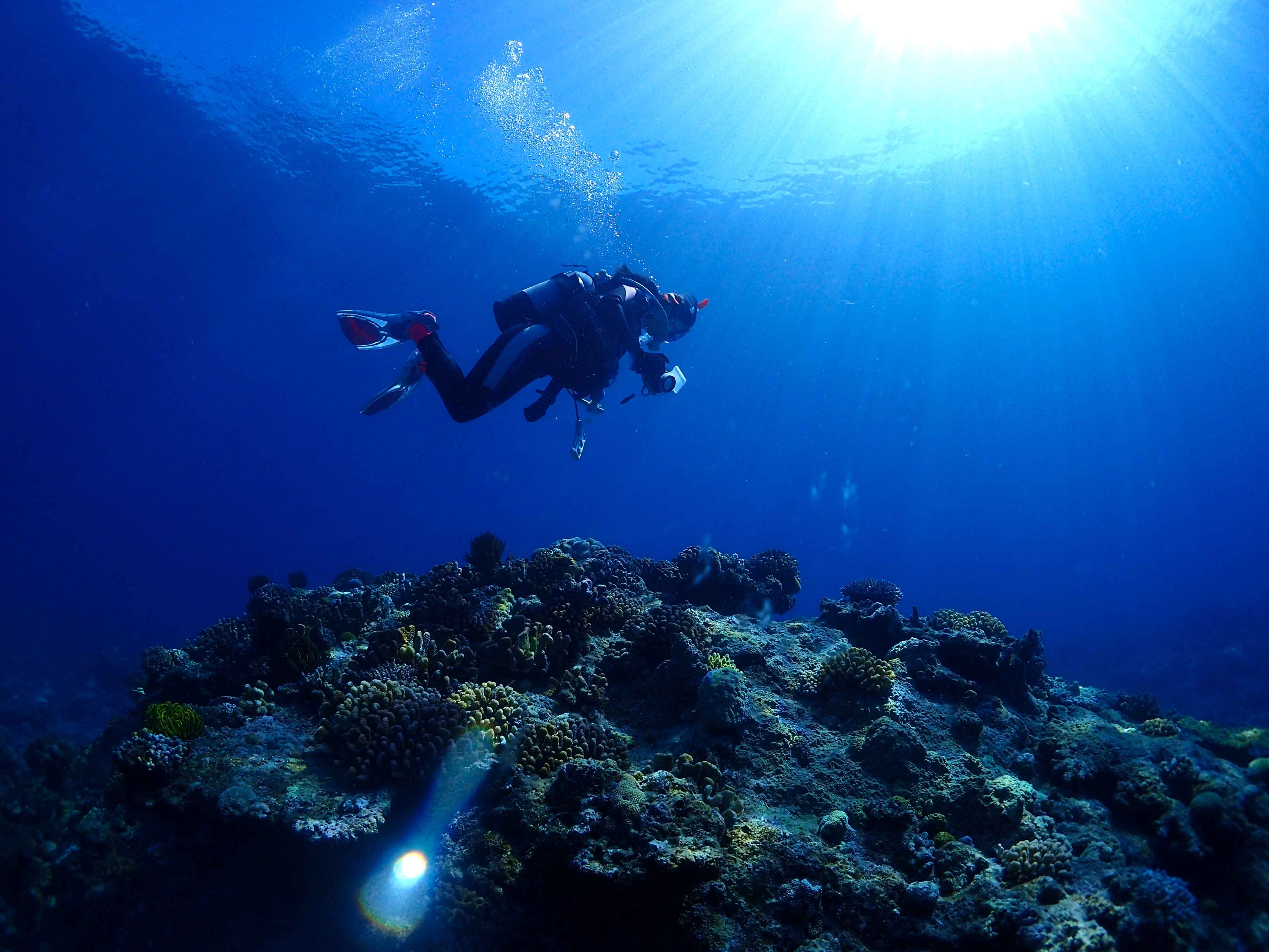 圧倒的開放感。水中、無重力の世界