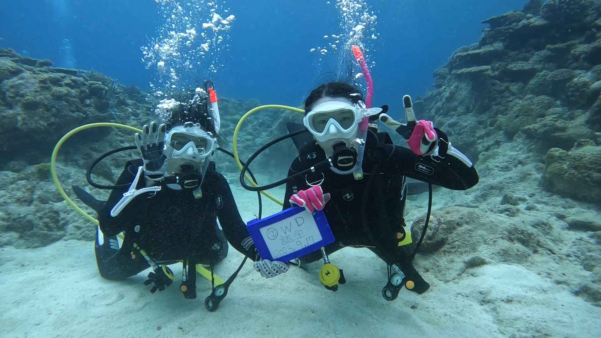 呼吸を合わせて。気ままな水中写真