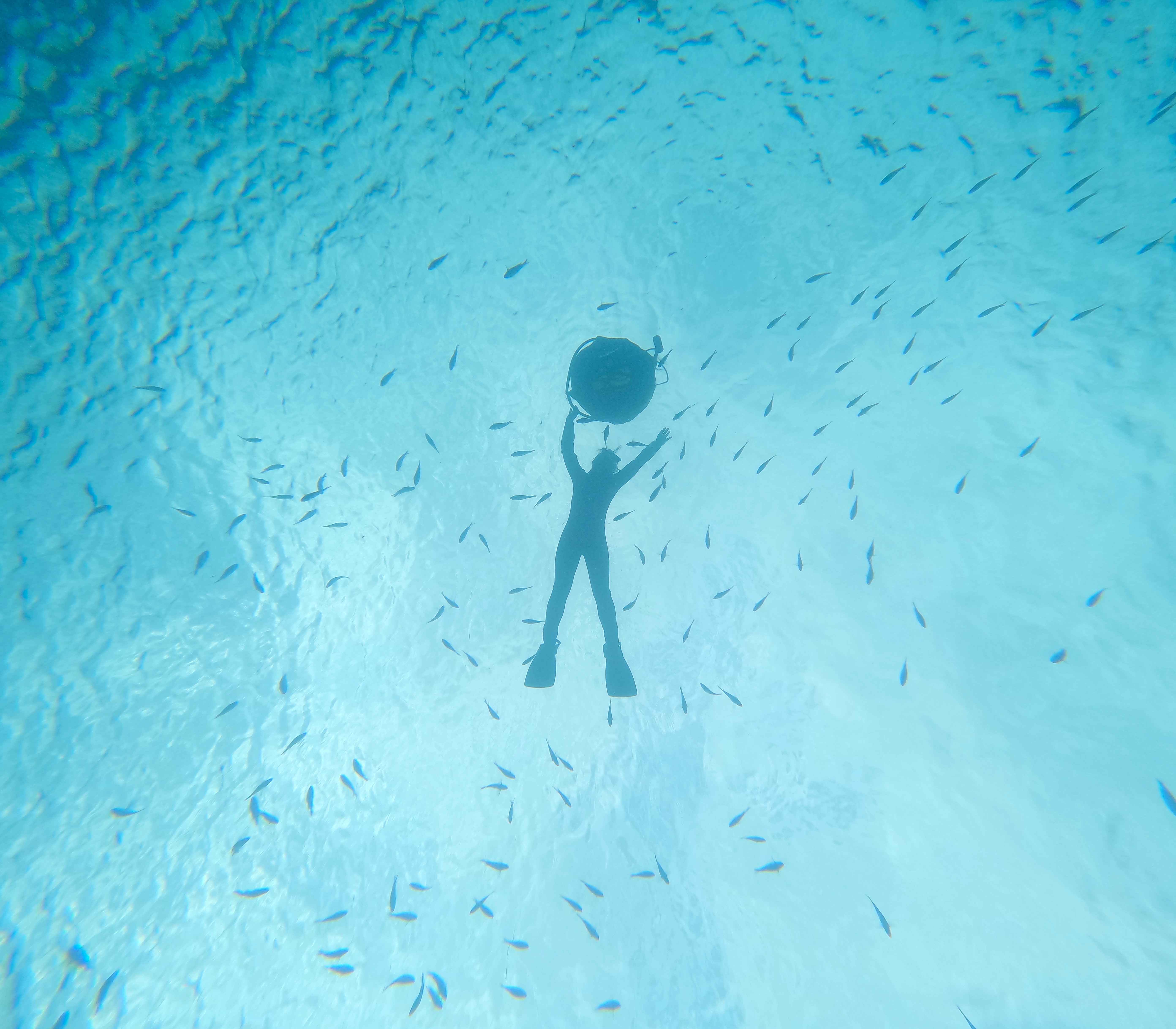 水中からの景色も、いい雰囲気でした