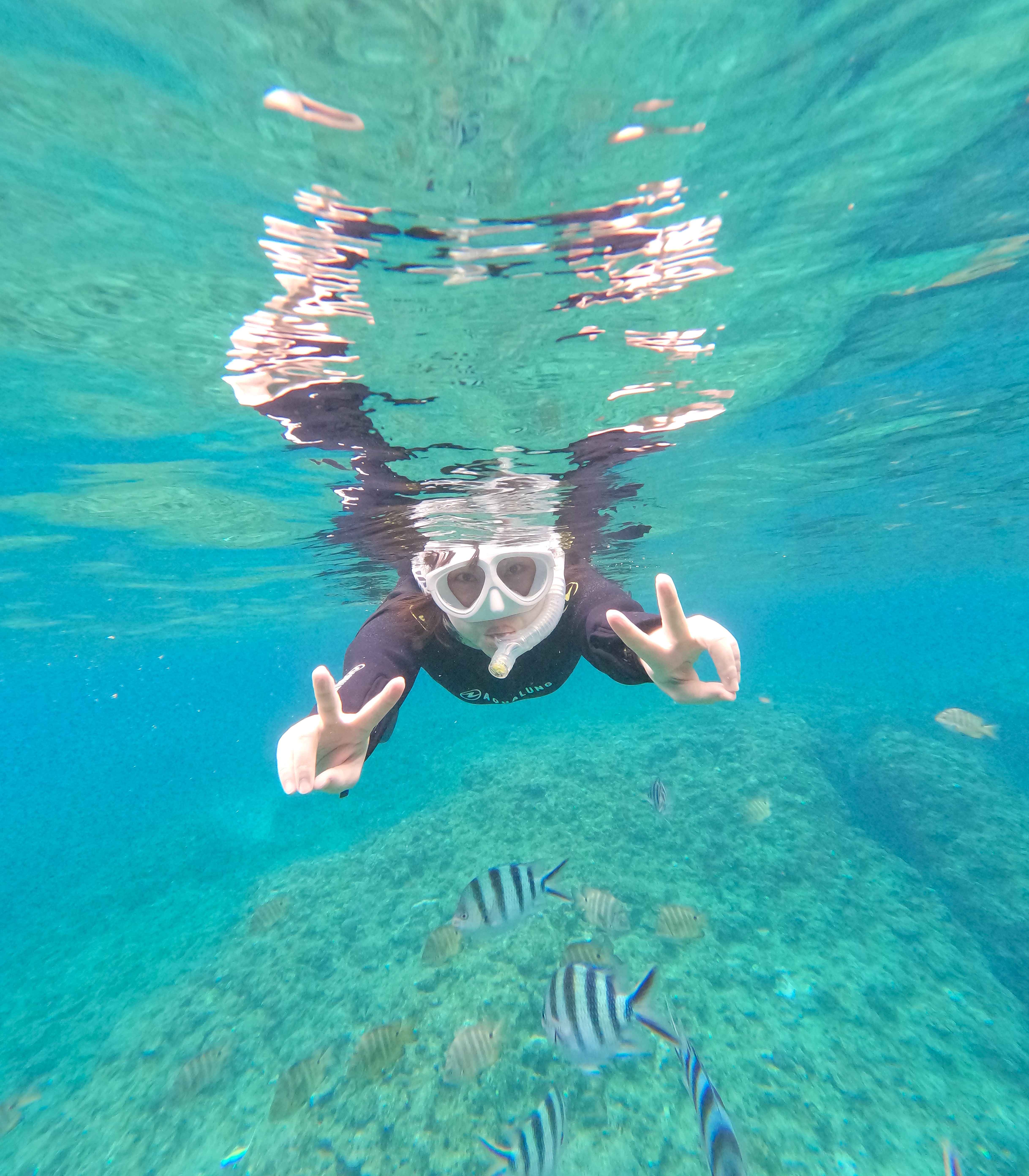 最後はこの一枚