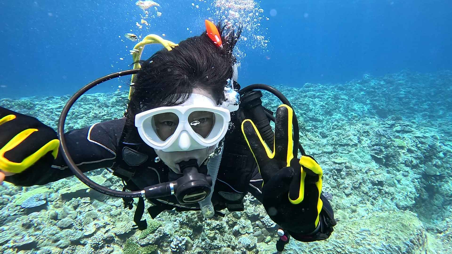 沖縄 ダイビング 少人数