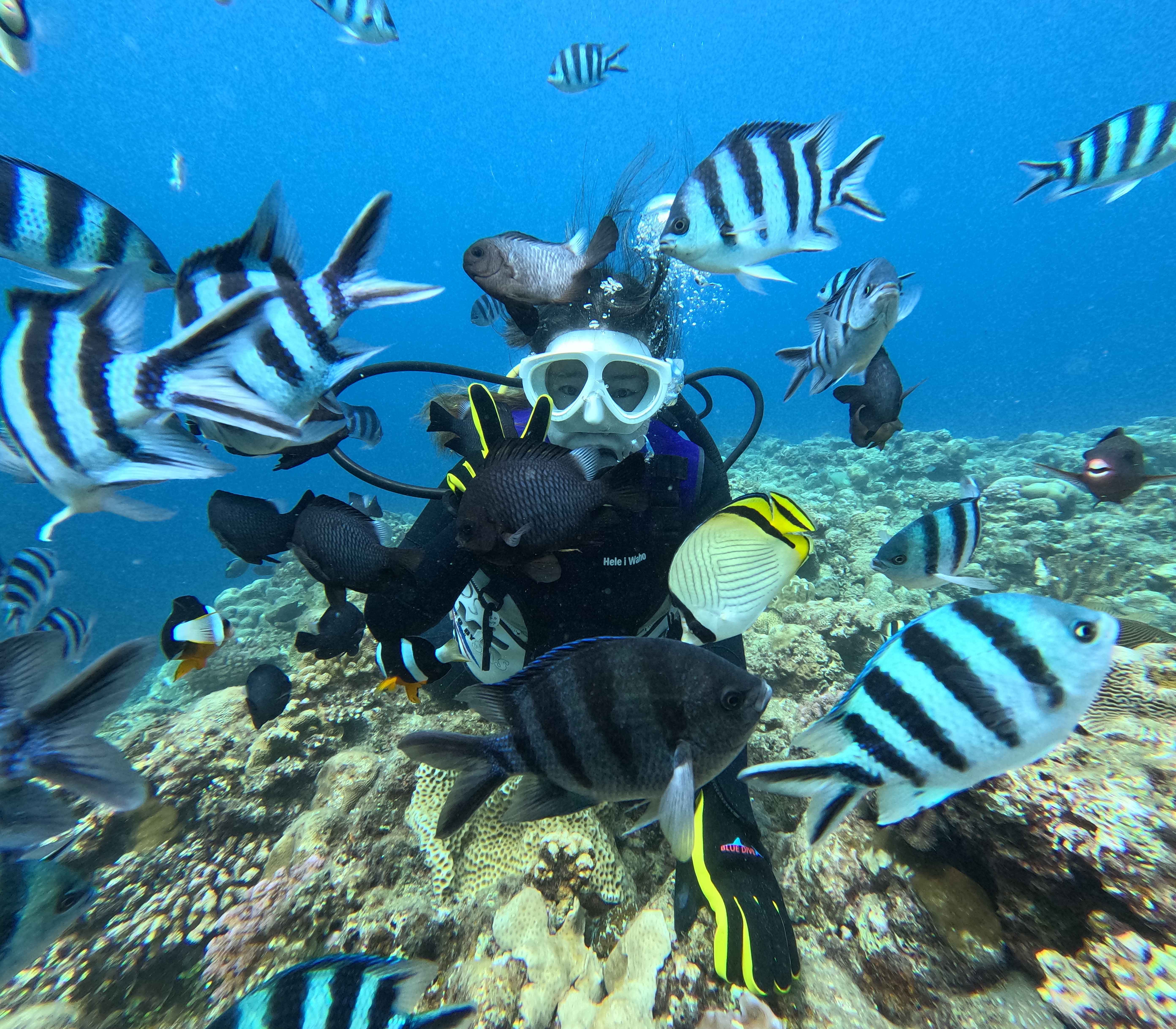 目の前いっぱいに広がる魚たち。この距離感が沖縄の海。