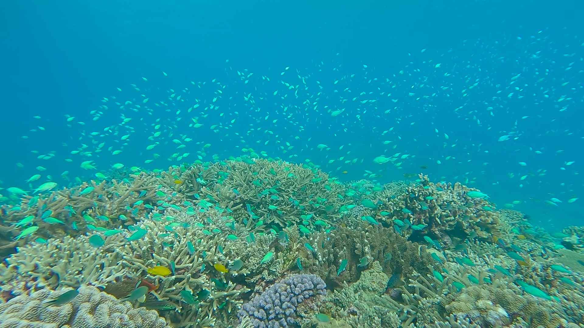 沖縄の海が広がる瞬間