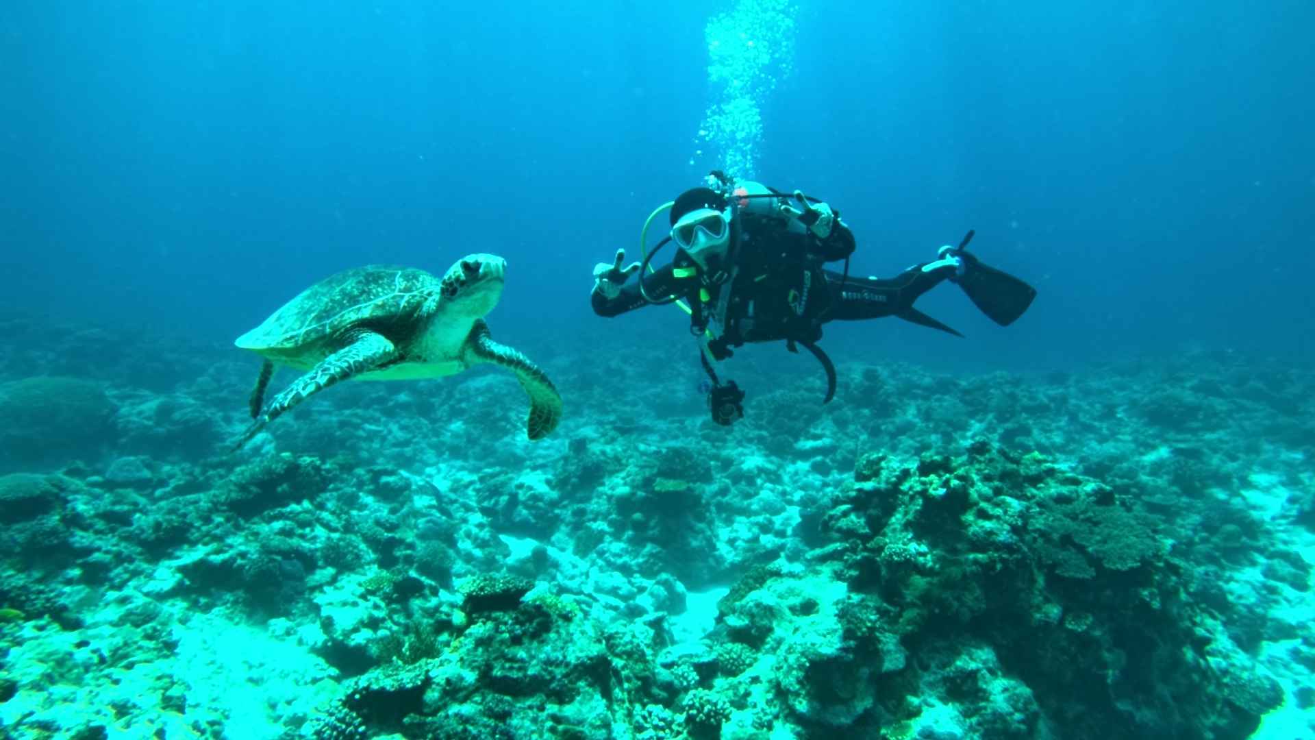 沖縄の海で出会った感動を思い出に